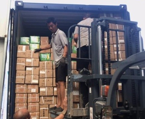 Free Bootstrap Template 